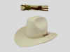 Hickok.jpg (53195 bytes)
