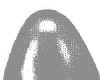 trtoe.jpg (7750 bytes)